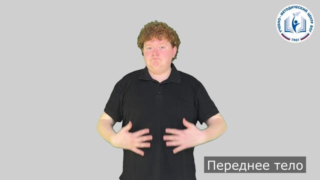 2 - Запреты и тело - Переднее тело