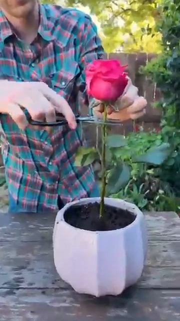 02-06-2026