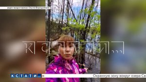 Парковая зона превратилась в болото из‑за самовольно построенных дорог