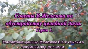 Советы В.Железова по обустройству целебной дачи. Серия 1.