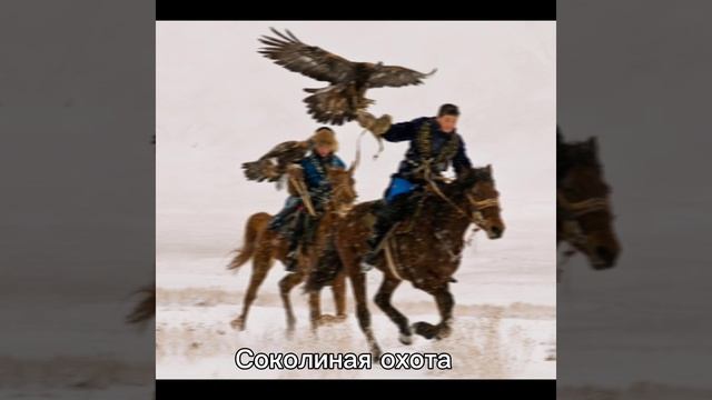 Вайб Казахстана/ 2 часть