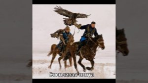 Вайб Казахстана/ 2 часть