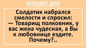 Товарищ полковник, у вас жена чудесная, а Вы к любовнице ездите... | Анекдоты смешные | Юмор