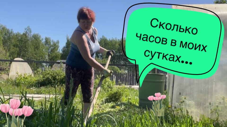 Когда всё успеть? Сельский влог.