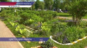 154 тысячи цветов украсят улицы, парки и скверы Автозаводского района Нижнего Новгорода