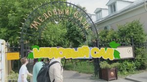 Медовый сад. Коломна. Пчелы. Мед.