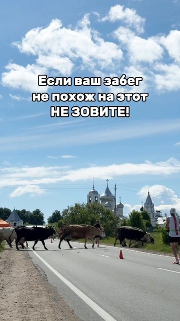 Эксклюзивно в городах Золотого кольца  😎