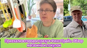 Приехали в город и сразу в Фикс Прайс. Что купили, обзор магазина и покупок