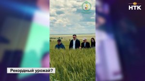 В этом году аграрии республики планируют побить рекорд по валовому сбору зерновых культур