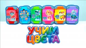 Учим цвета вместе с щенками из мультика Щенячий Патруль 🚨😽🚓