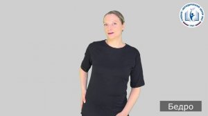 13 - Части тела - Бедро