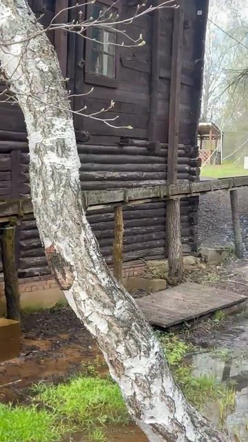 Старая мельница смотреть онлайн