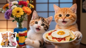 Специальный ужин для папы-кота и мамы-кошки