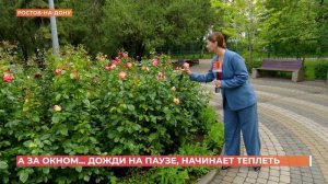 А за окном. 1 июня 2026