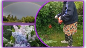 Словами не передать что мы испытали увидев по пути в деревню!🌈  Свекровь испытывает мини триммер.