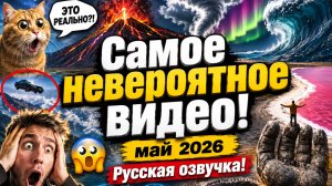 самые вирусные видео, май 2026!