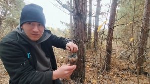 Фильтр для воды в условиях леса. Добыть воду при выживании