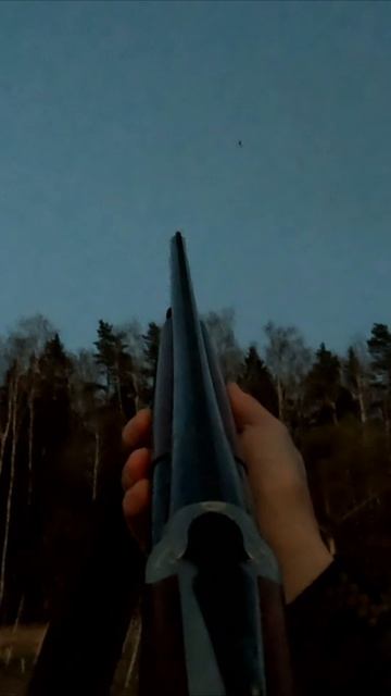 Вечерняя тяга вальдшнепа — магия весеннего леса #вальдшнеп #тягавальдшнепа #охота #весенняяохота