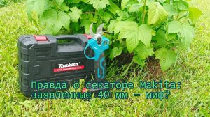 Аккумуляторный секатор Makita — проверяем толщину реза: правда или маркетинг? ✂️🤔