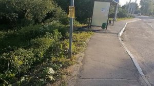 2.06.2026.Ляховский край.Уно-Моменто!25/7/365. Губернаторский. Ляхово TиVи. Усадьба Парк Кинематогра