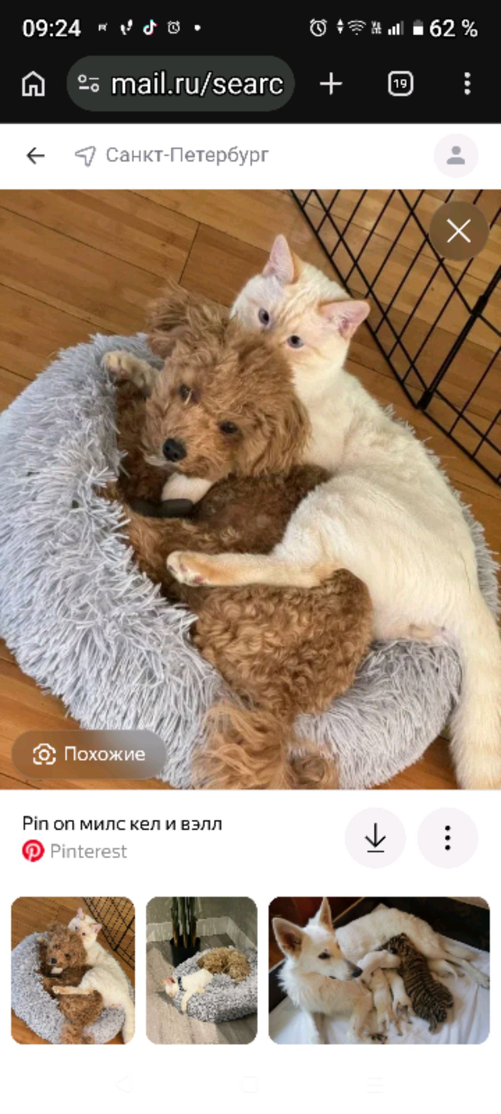 м смотреть онлайн