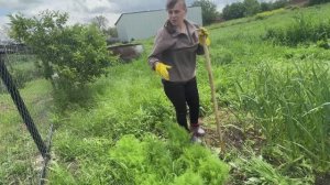 Первая клубничка .Большой день: работа в огороде, уборка в доме и вкусный ужин. ИЗ ГОРОДА В ДЕРЕВНЮ