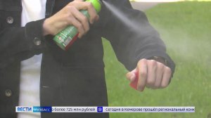 Полчища кровососов: нашествие комаров ставит под угрозу пикники на природе