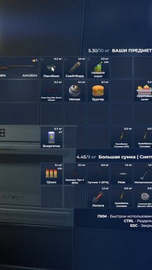 Ланчбокс GTA5RP