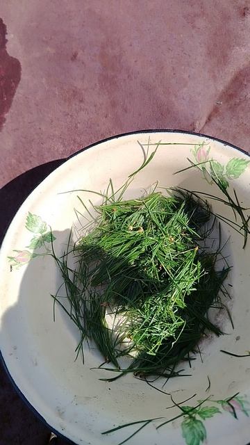 Кухня с Сашкой Чашкой!!!🤣🌹 смотреть онлайн