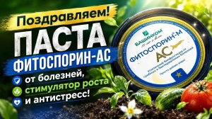 Фитоспорин-АС Паста — защита растений от грибковых и бактериальных болезней, стимулятор роста