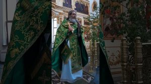 Проповедь протоиерея Иоанна Кудрявцева в день Пятидесятницы