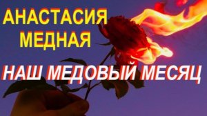 Наш медовый месяц