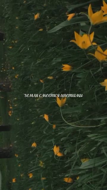 восторг