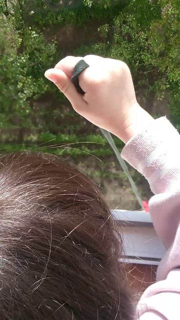 Моя игрушка арбузик в окне