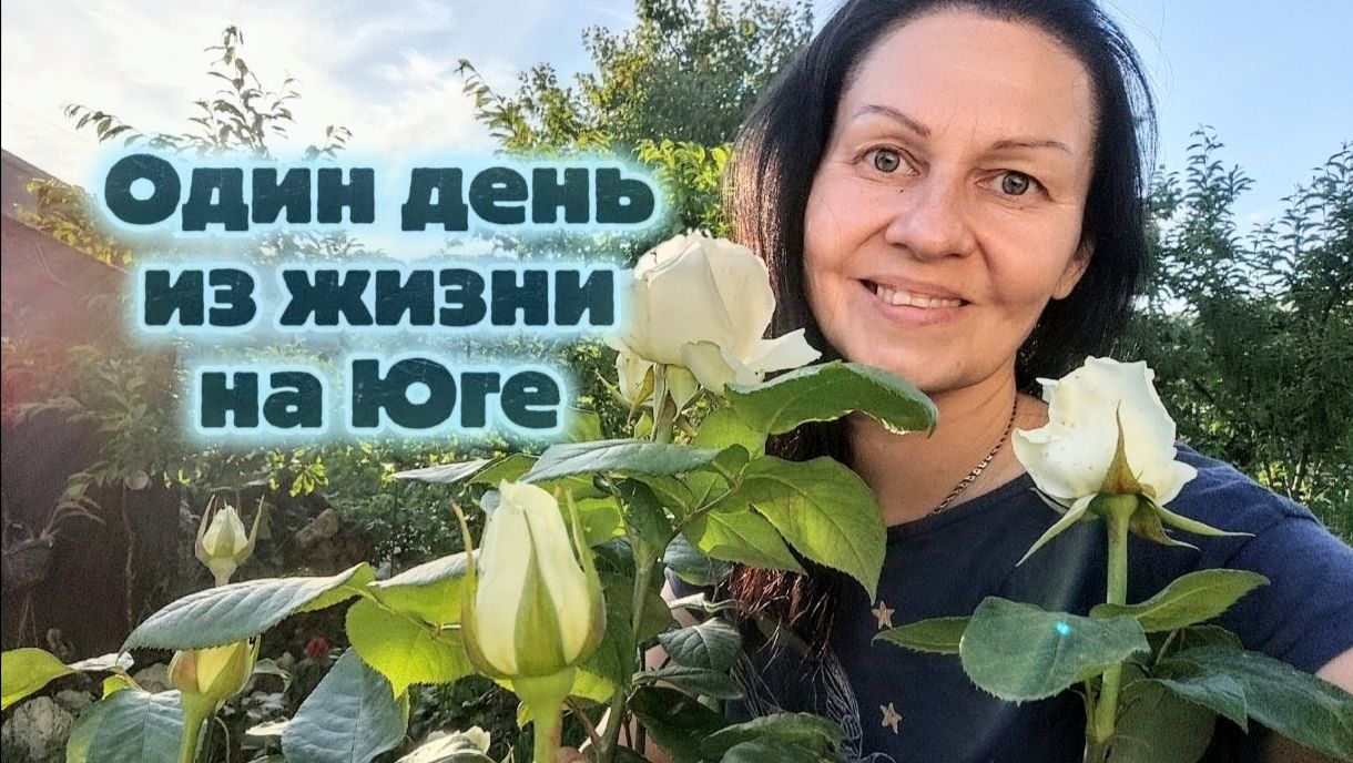 Мой идеальный день в южном саду: розы, ягоды, приятные  садовые хлопоты
