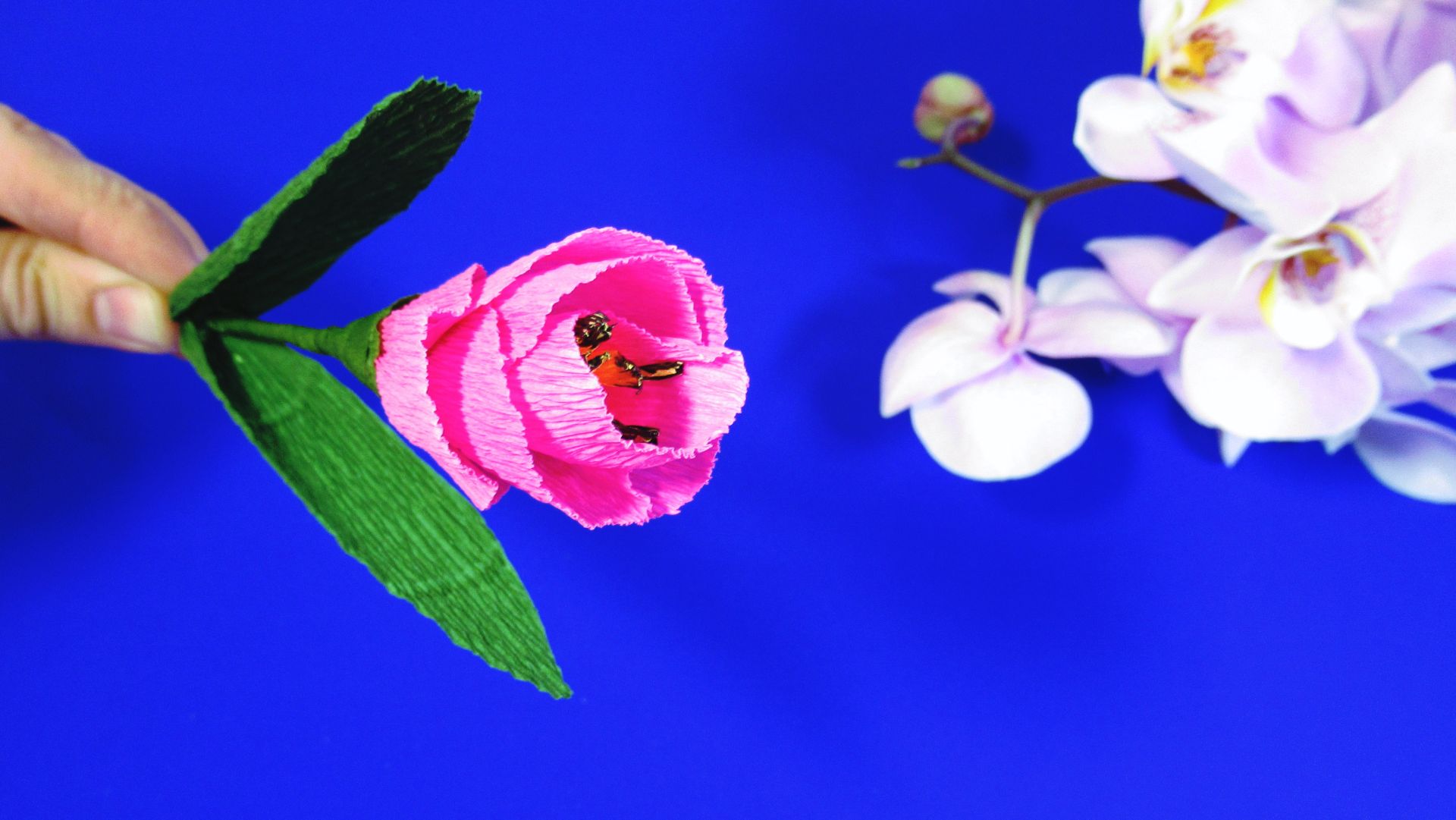 Цветы из бумаги. Как сделать тюльпан из бумаги своими руками Paper Flowers.