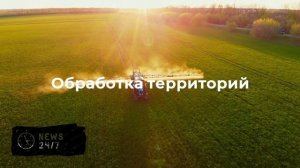 Более 176 тыс. россиян обратились в больницы из-за укусов клещей
