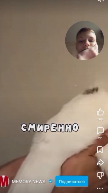 Моя кошка гений!!! 😺🤞