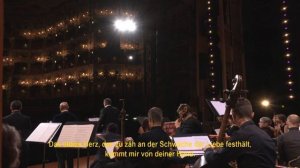Vinci - Gismondo Re di Polonia Martyna Pastuszka Oh Orkiestra Bayreuth Baroque 2020