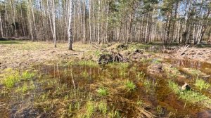 Канава полная воды на дачном участке. Куда отводить воду