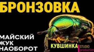 Три года в темноте