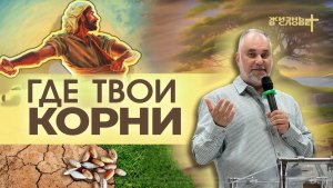 ГДЕ ТВОИ КОРНИ | 31.05.2026 | ВОСКРЕСНОЕ БОГОСЛУЖЕНИЕ