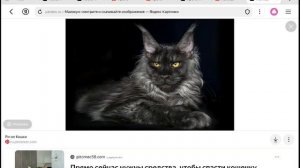 ласка и рузя