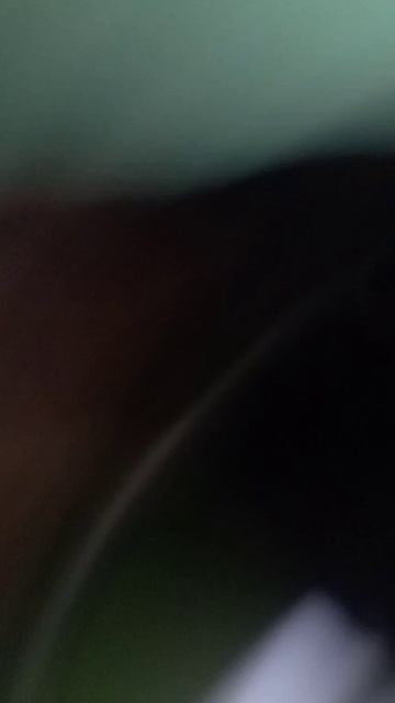 L*\