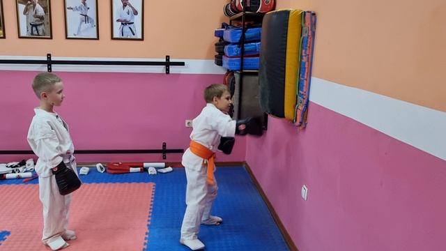 Трудовые будни каратиста 263.