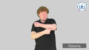 13 - Части тела - Локоть