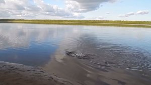 Рыбалка На Реке. Рыбное Эльдорадо! Часть 3-я.