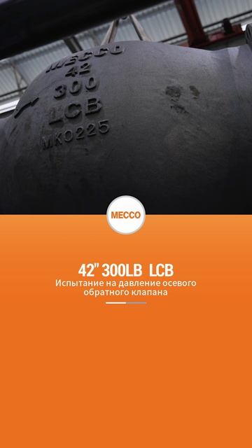 42'' 300LB  Испытание на давление осевого обратного клапана-MECCO