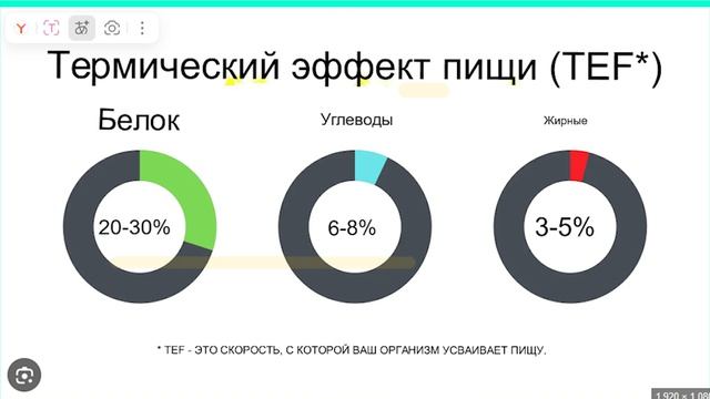обмен веществ лекция 17