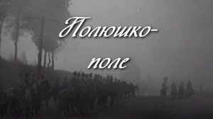 Полюшко-поле
